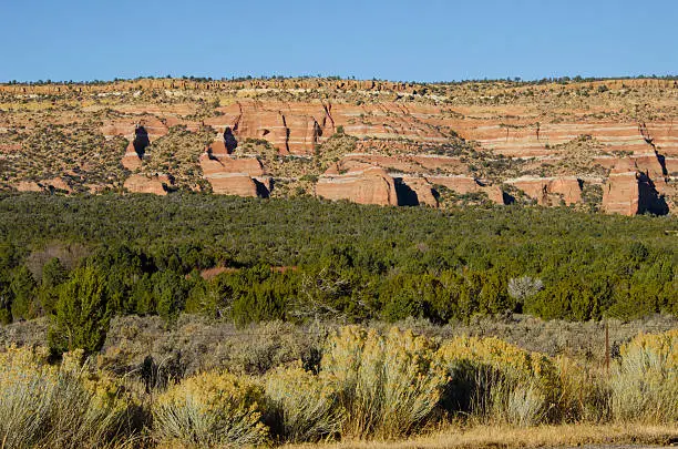The beautiful sandstone rock formations near the Zuni Pueblo create colorful landscapes when mixed with the greens and yellows of fall vegetation.  Pictured here are Entrada, Dakota and Zuni Sandstones with juniper shrubs and rabbitbrush.