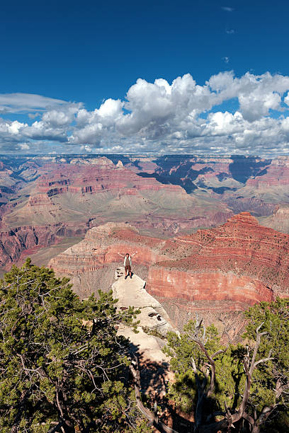 туристы, поднятые руки над гранд-каньон, аризона, сша - at the edge of стоковые фото и изображения