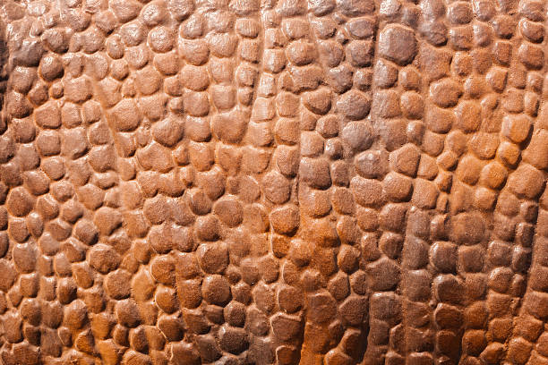 dinosaurier-haut - leather green hide textured effect stock-fotos und bilder