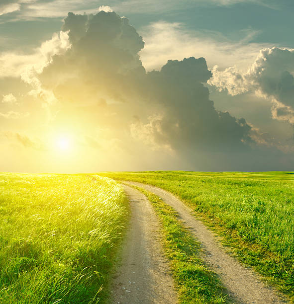 istock Summer landscape with green grass, road and clouds 484066021