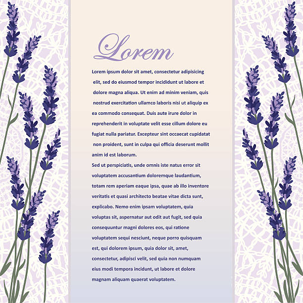 ilustrações, clipart, desenhos animados e ícones de belo fundo com lavanda - lace doily frame picture frame