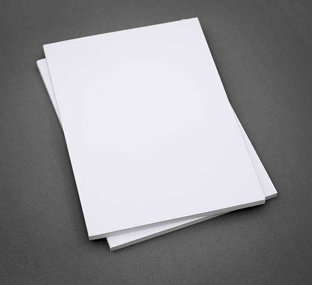 istock Blank catalog,brochure, magazines,book mock up 484073260
