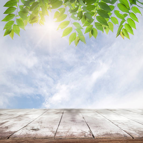 istock fresh green leaves ,natural green background 484073588