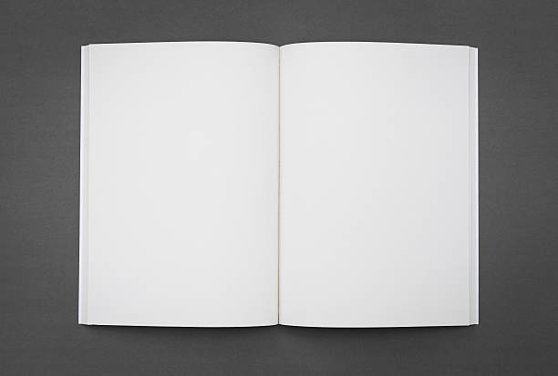 istock Blank catalog,brochure, magazines,book mock up 484076500