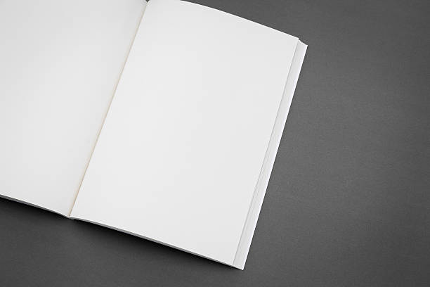istock Blank catalog,brochure, magazines,book mock up 484077388