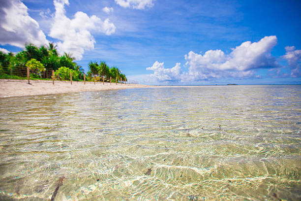 istock Tropical perfect beach with green palms 484077557