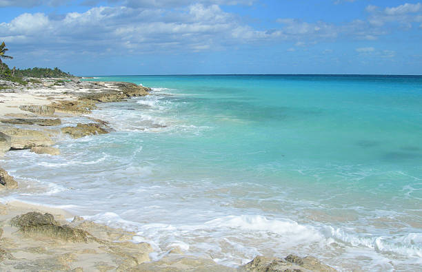 istock Caribbean beach on the Riviera Maya, Mexico 484077786