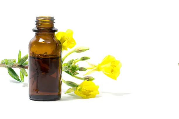 Yellow evening primrose (Oenothera biennis) flowers and a small bottle with oil, cosmetics and natural remedies for sensitive skin and eczema, isolated on a white background