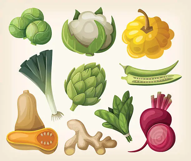 Vector illustration of Set of exotic vegetables