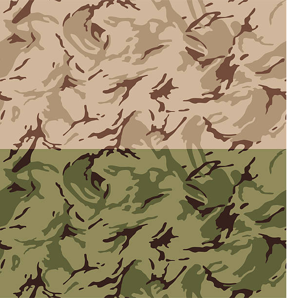 사막 카무플라주 패턴 (원활한 - backgrounds repetition sand desert stock illustrations