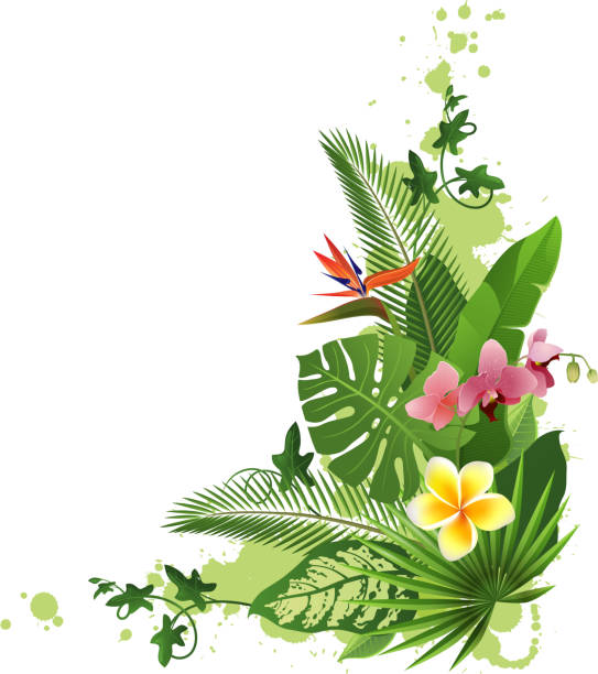 tropical background tropical background with flowers and plants luau stock illustrations