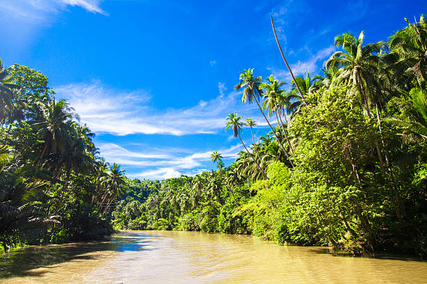 istock Tropical Loboc river, blue sky, Bohol Island, Philippines 484078953