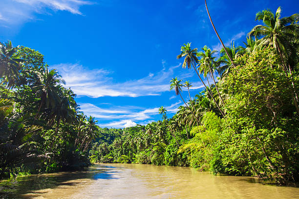 istock Tropical Loboc river at the island Bohol in Philippines 484078955