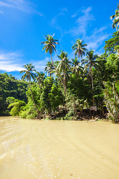 istock Tropical Loboc river, Bohol Island, Philippines 484078963