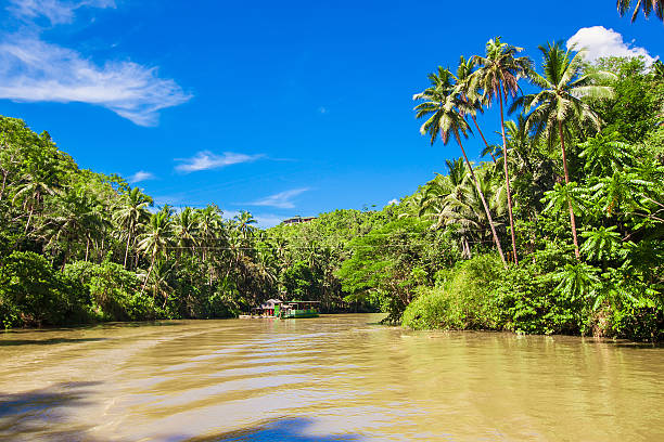 istock Tropical Loboc river, Bohol Island, Philippines 484078967