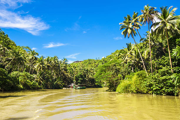 istock Tropical Loboc river with palm trees on both shores 484078969
