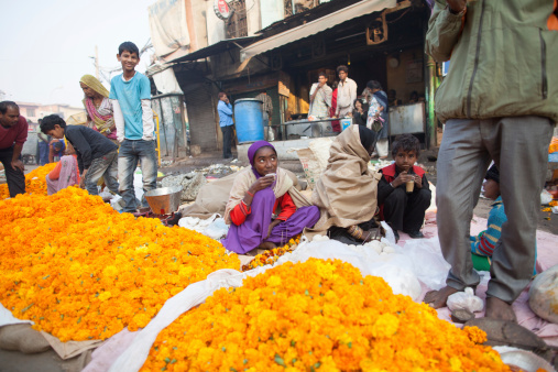 New Delhi, India - November 2, 2013.  An Indian woman sells marigolds which will be strung into garlands and used in the Diwali celebration.