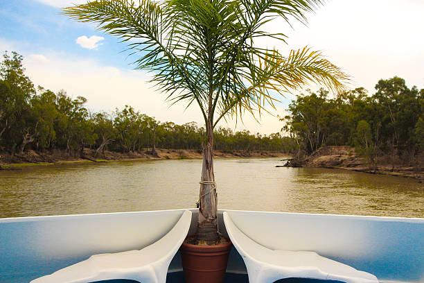 Palm tree on a Houseboat on a river stock photo
