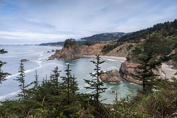 istock Pacific ocean coast from Arch Rock viewpoint in Oregon 484083078