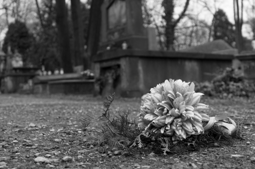 Cemetery flower, laying down in the alley, blown by wind. Taken in Krakow, 2012.03.11