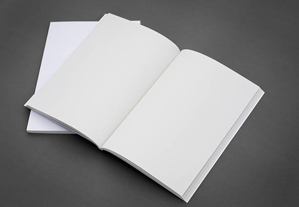 istock Blank catalog,brochure, magazines,book mock up 484083270