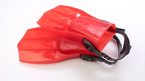 istock Red flippers for scuba diving or snorkelling 484087202