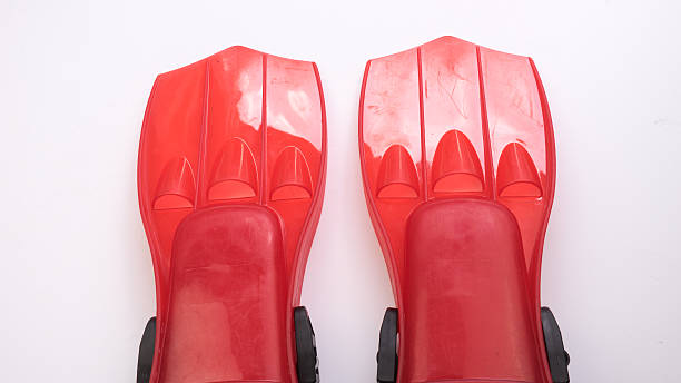 istock Red flippers for scuba diving or snorkelling 484089962