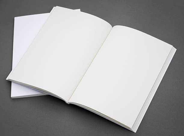 istock Blank catalog,brochure, magazines,book mock up 484090366