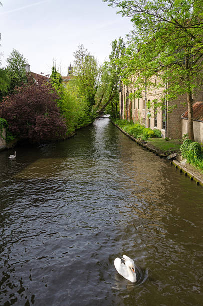istock River of Begijnhof in Bruges 484090966
