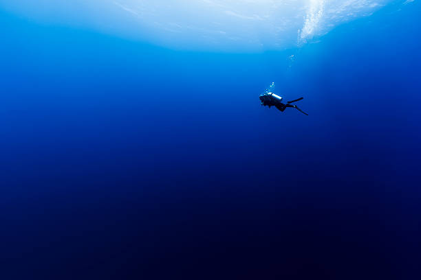 la plongée sous-marine dans l'immensité bleue en polynésie française - floating on water photos photos et images de collection