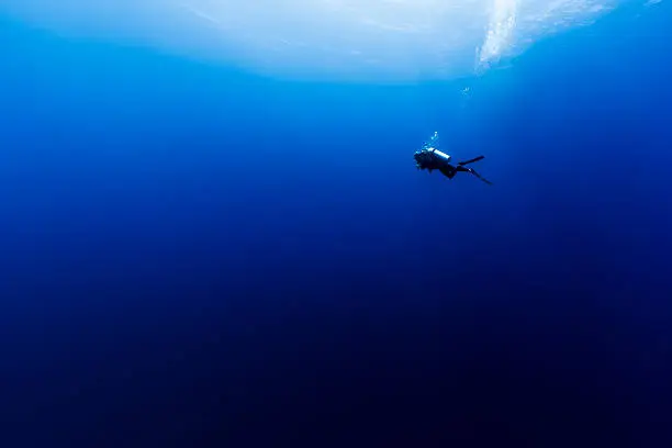 Photo of Scuba Diving in the Wild Blue Yonder in French Polynesia