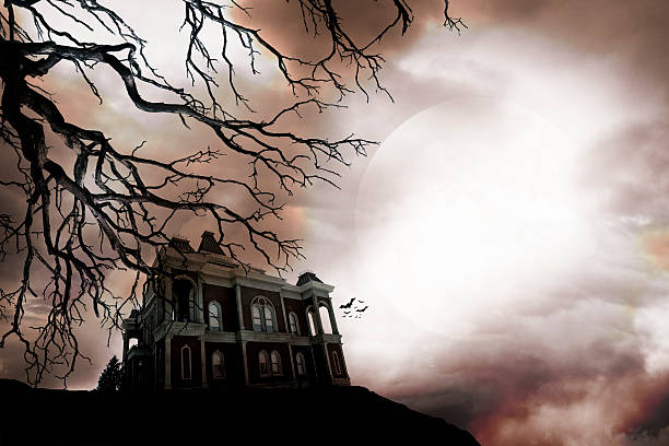 istock Haunted House On Top Of Hill Framed By Dead Tree 484095138