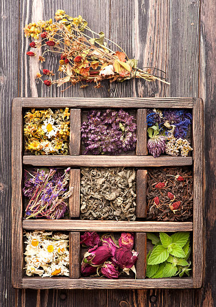 istock dried medicinal  herbs and flowers  in a wooden box 484096822