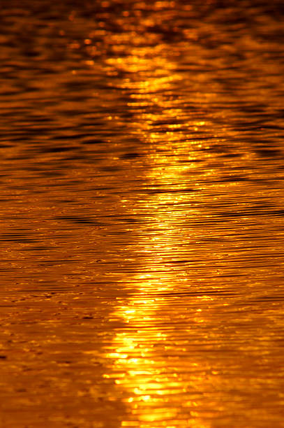 istock Reflection of sunset on the lake. 484100663