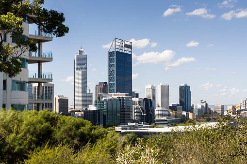 Perth city central business district skyline in Western Australia. The skyscrapers are visible through trees and foliage at the beautiful relaxing space at Kings park, they are the tallest office buildings in Perth CBD.