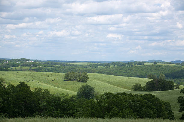istock Southern Missouri Landscape 484101815