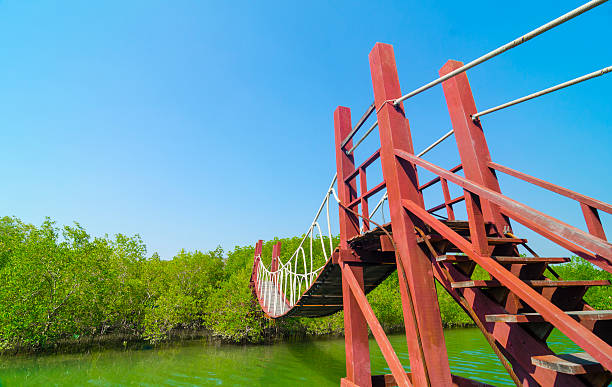 istock Red wooden bridge to a natural forest 484102377