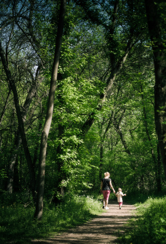 Mother and daughter walking through the magical forest. Processed RAW in 16bit color mode.