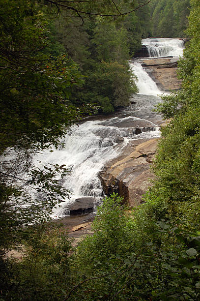 トリプル落ちるデュポント、ノースカロライナ州有林 - dupont state forest ストックフォトと画像