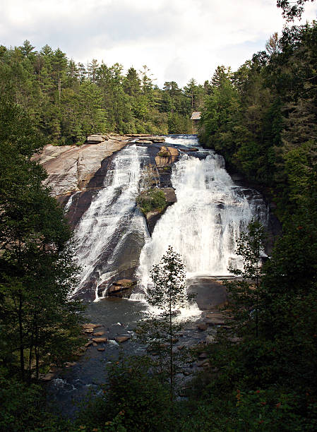 ハイフォールズデュポントで、ノースカロライナ州有林 - dupont state forest ストックフォトと画像