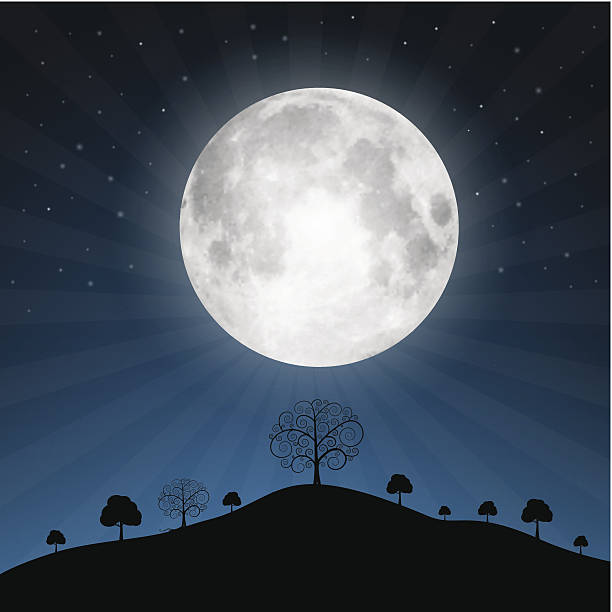 Full Moon and Night Landscape Illustration vector art illustration
