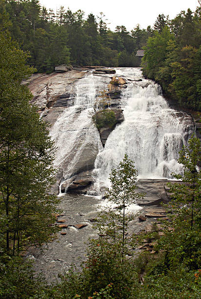 ハイフォールズデュポントで、ノースカロライナ州有林 - dupont state forest ストックフォトと画像