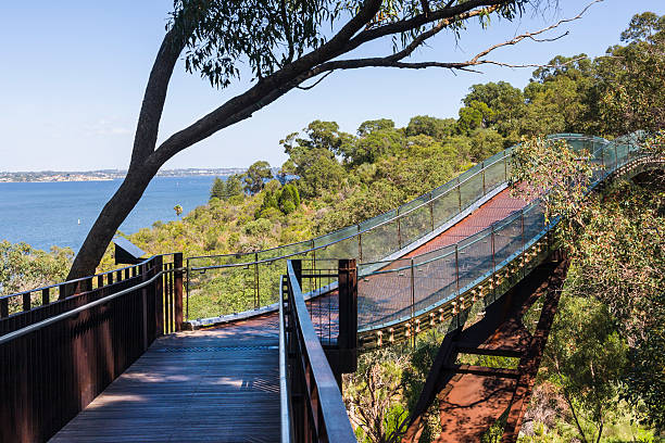 Kings Park And Botanic Garden Lightscape