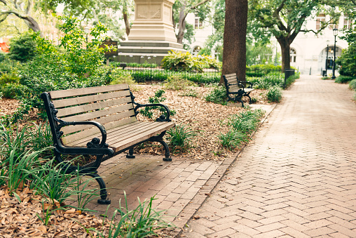 This is a horizontal, color, royalty free, stock photograph of a downtown park in Savannah, Georgia. The Southern USA historic district is full of plazas with sidewalks with many wooden park benches. The walking path through Monterey Square is paved with bricks.  Photographed with a wide angle using a Nikon D800 DSLR camera.