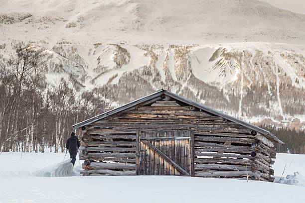 femme et abandonnée barn - scandinavian cross country ski ski nordic countries photos et images de collection