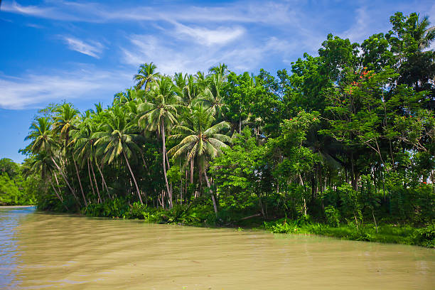 istock Tropical Loboc river at the island Bohol in Philippines 484108265