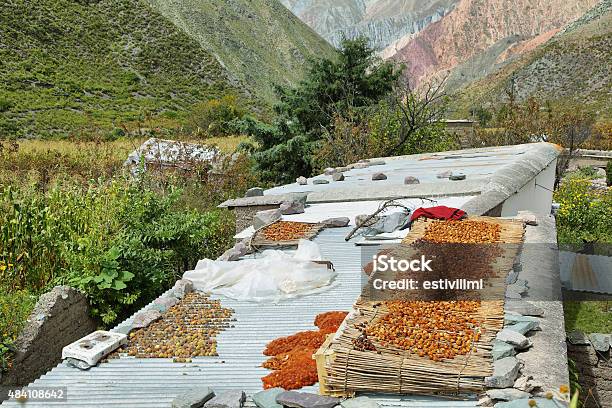Views Of Peaches Drying And Mountains At Background Stock Photo - Download Image Now