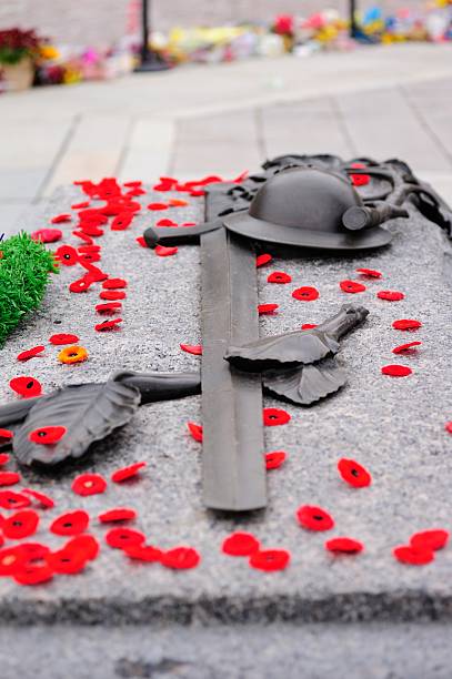 istock Tomb of the Unknown Soldier- Ottawa 484119606