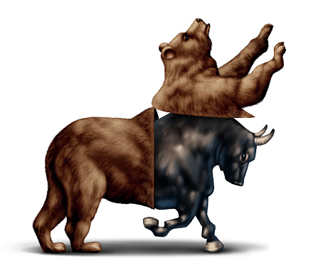 Bull market economic recovery financial business concept as a bear opening up and revealing an emerging bullish stock market  as a metaphor for change in investing sentiment and positive investor sentiment.