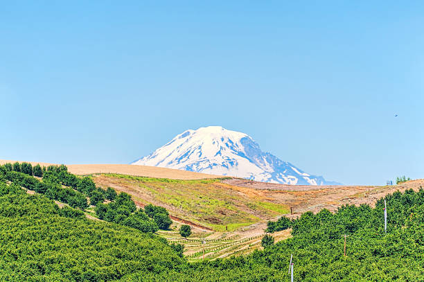 istock Mt. Adams seen from Dufur Oregon 484122534